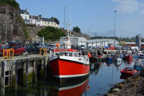  Dunmore East harbour summer 2025
