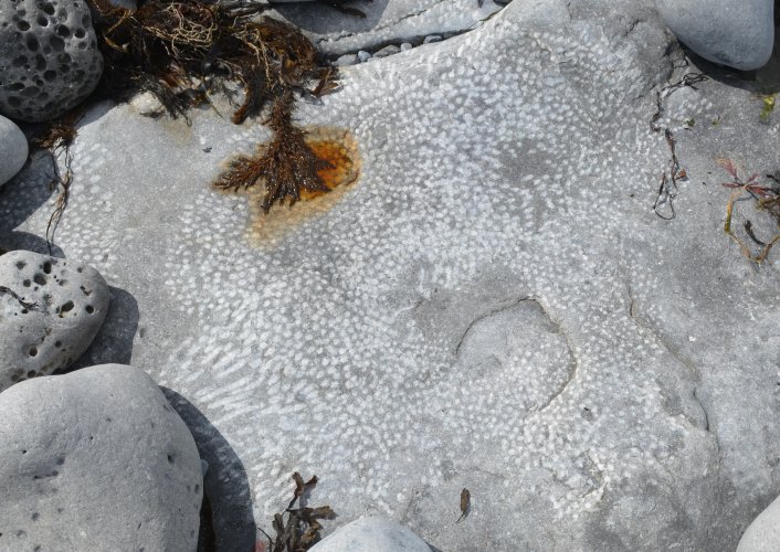 The Flaggy Shore, The Burren, Co. Clare, West of Ireland
