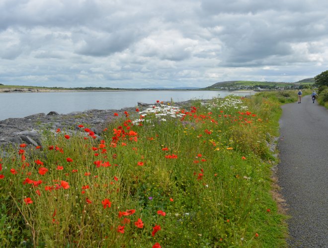 The Flaggy Shore, The Burren, Co. Clare, West of Ireland