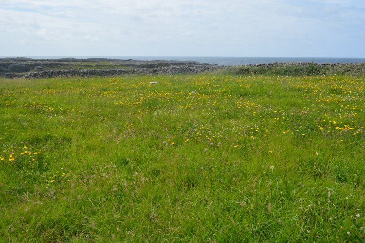  Trip to Inishmore (Inis Mor), Arran Islands, Co. Clare, Ireland, Wild Atlantic Way