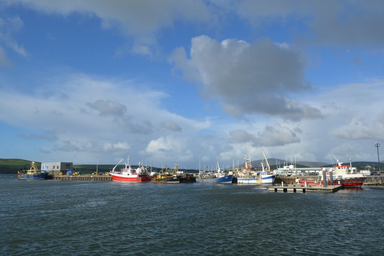 Dingle Harbour from across Strand Street