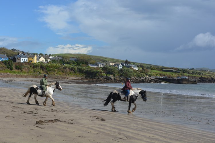Horse riding near the pier on the beach of Ventry Bay, Blue flag Ventry Beach (Ceann Tra), Dingle Peninsula, Co. Kerry, Ireland