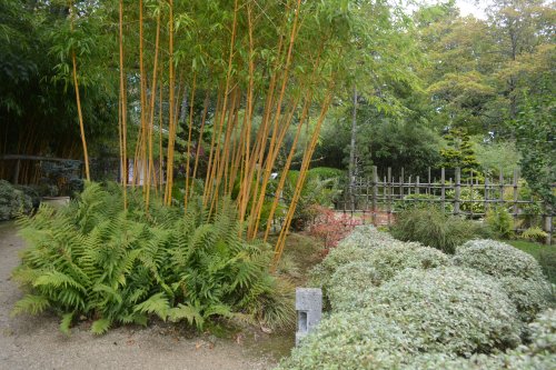 The arrival in Japan Garden of the Lafcadio Hearn Japanese Gardens, Tramore, Co. Waterford, Ireland