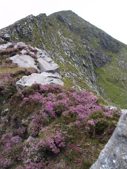 122. Descending the fine ridge of rocks and purple heather on Slievemore Mountain down to Doogort (Dugort) and its two wonderful blue flag beaches, Achill Island, Co. Mayo, Ireland.