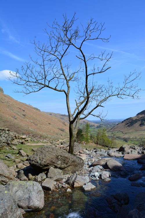 Walks in Langdale Pikes, Lake District
