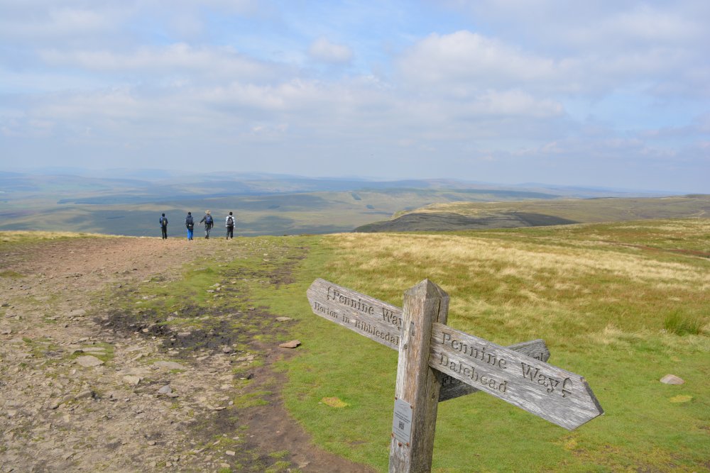 The Pennine Way goes over the summit of Pen-y-ghent Climbing Pen-y-ghent, walk from Horton-in-Ribblesdale