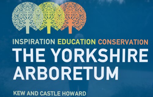 Spring in the Yorkshire Arboretum