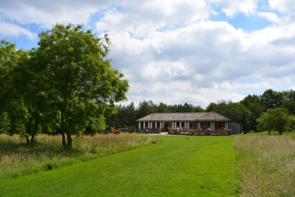 Spring in the Yorkshire Arboretum
