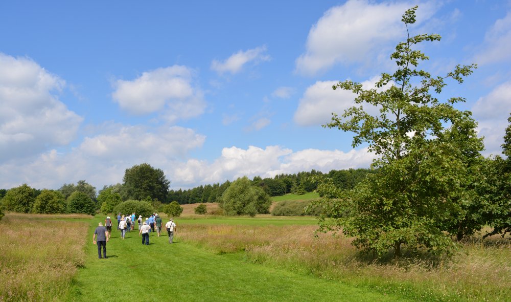 Spring in the Yorkshire Arboretum