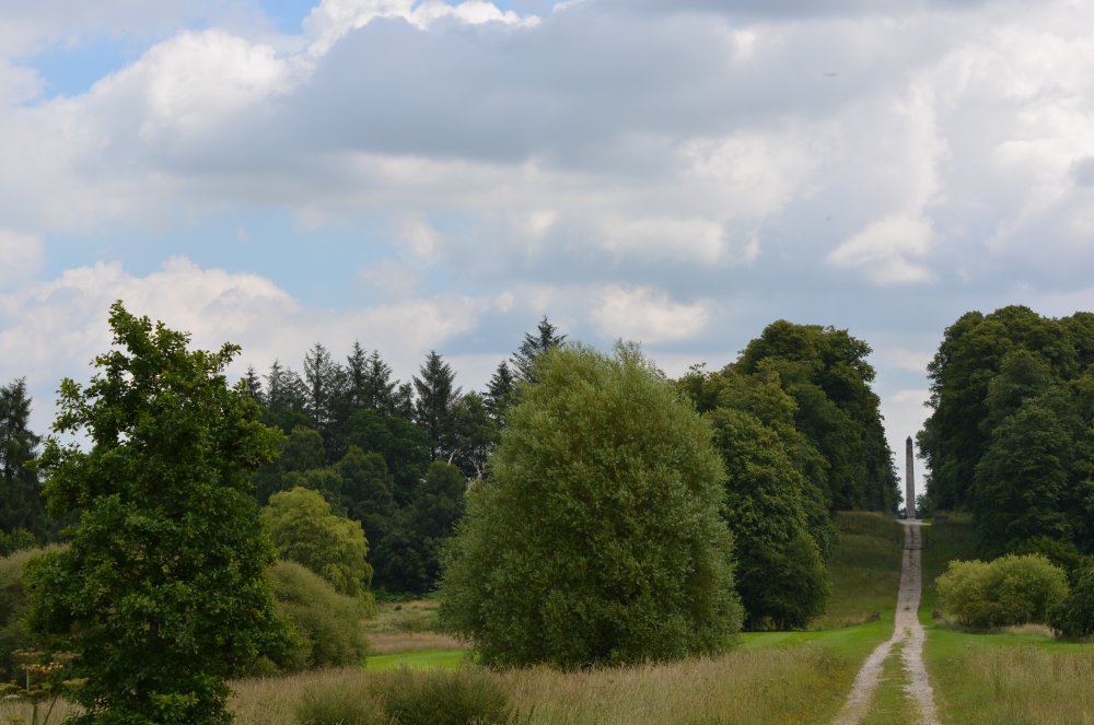 Spring in the Yorkshire Arboretum