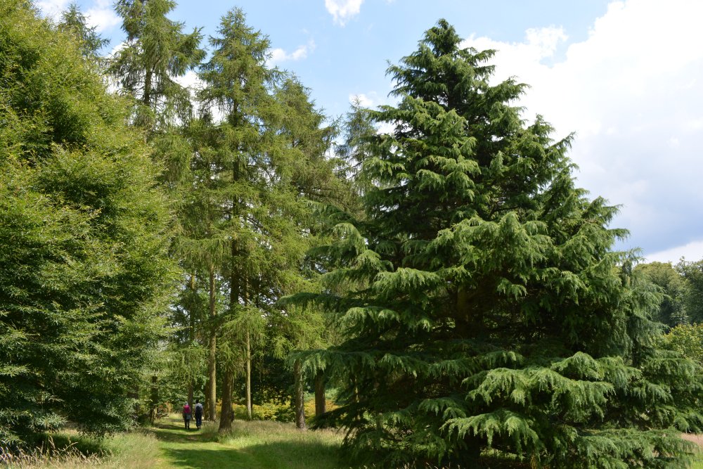 Spring in the Yorkshire Arboretum