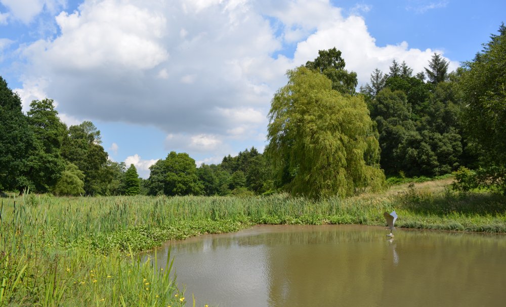 Spring in the Yorkshire Arboretum