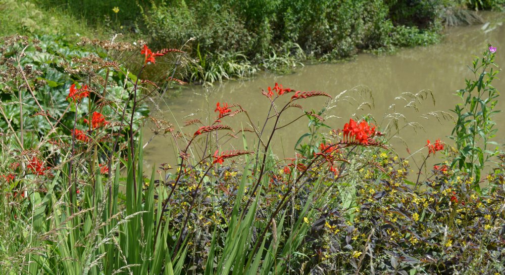 Spring in the Yorkshire Arboretum
