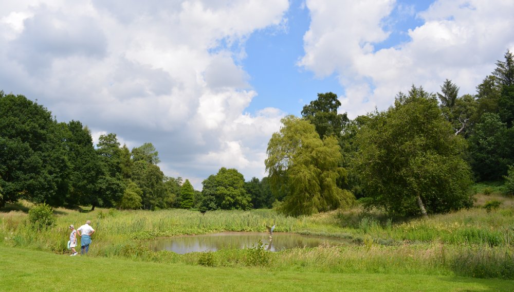 Spring in the Yorkshire Arboretum