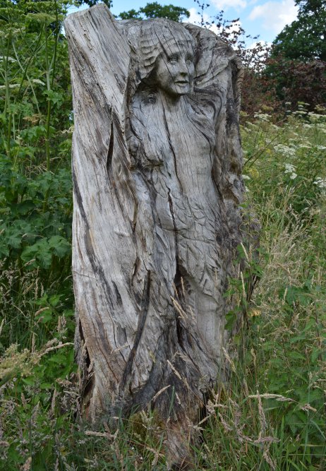 Spring in the Yorkshire Arboretum