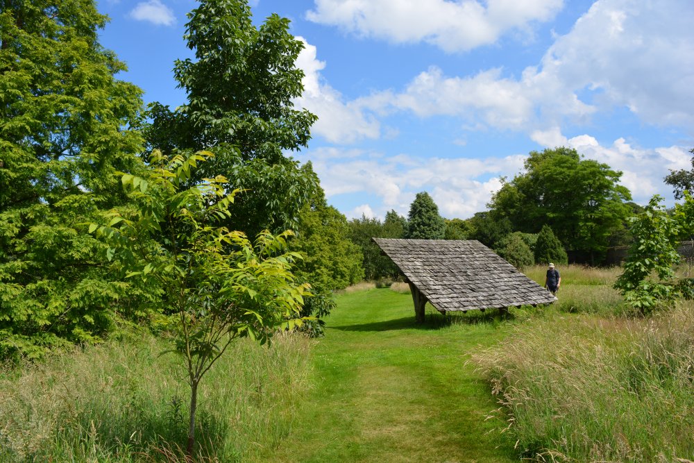 Spring in the Yorkshire Arboretum
