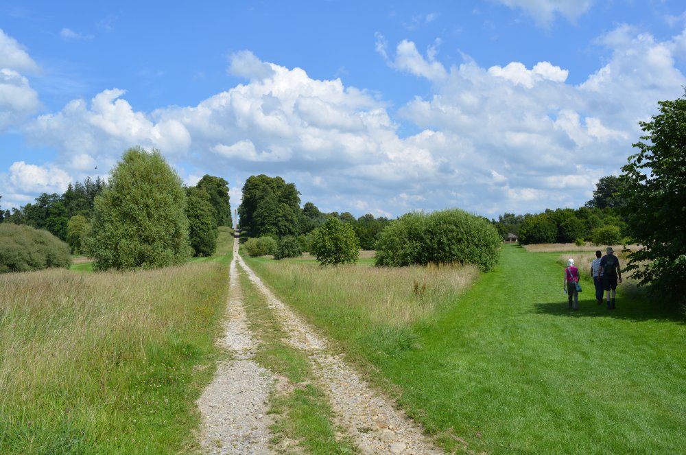 Spring in the Yorkshire Arboretum