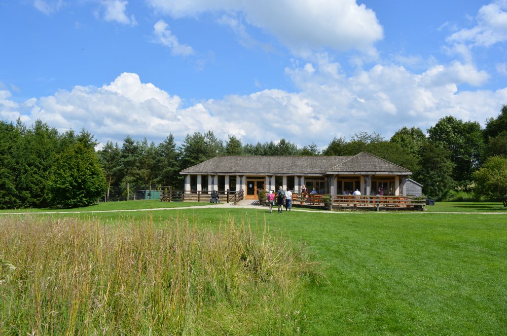 Spring in the Yorkshire Arboretum