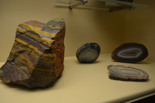 Herbert Art Gallery & Museum Coventry