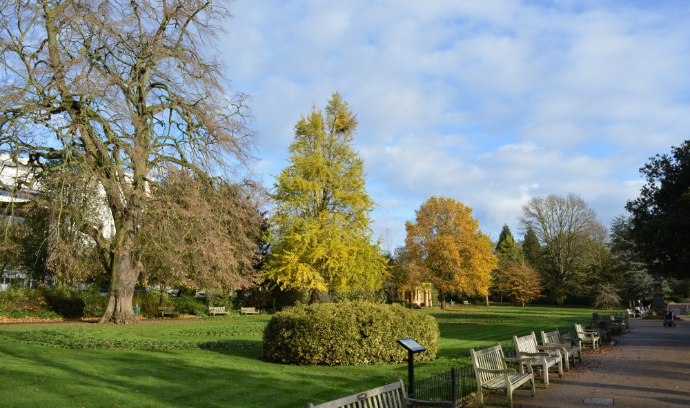 lovely formal garden in the Jephson Gardens Leamington Spa