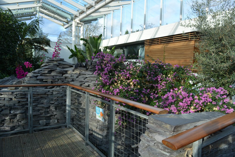 interior of the Glasshouse, filled with tropical plants and stones Leamington Spa