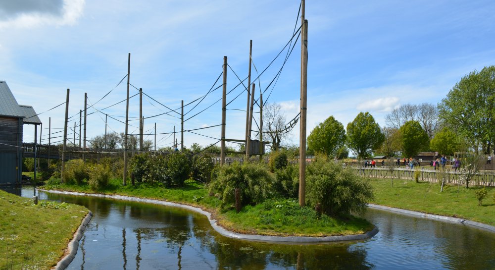 gibbon forest enclosure at Twycross Zoo, Leicestershire, England