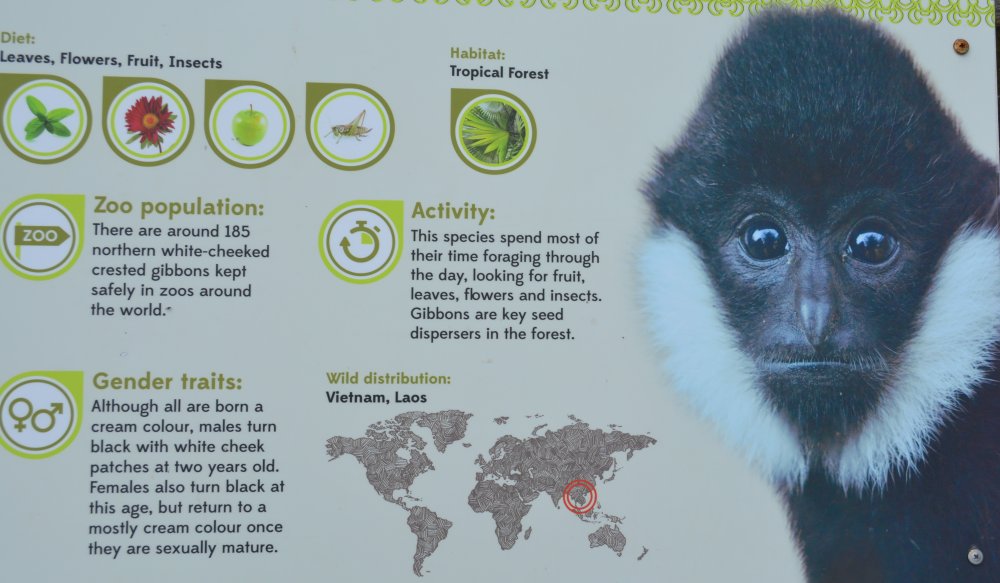 Twycross Zoo, Leicestershire, England