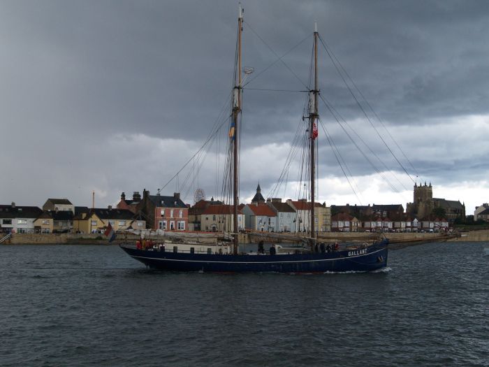 Tall Ships Race