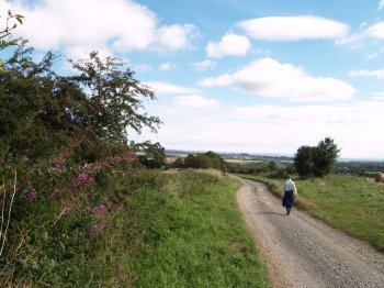 the stony track of Low Field Lane (below) on the Cleveland Way with views over the farmland to distant North York Moors - Walking from Sutton Bank National Park Visitor Centre, North York Moors National Park, North Yorkshire, Northern England
