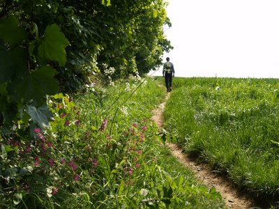 Public footpath near Welburn Village, North Yorkshire, England