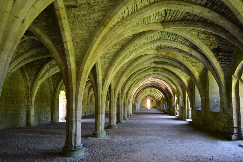 arched vaulting of the cellarium of the west range of Fountains Abbey
