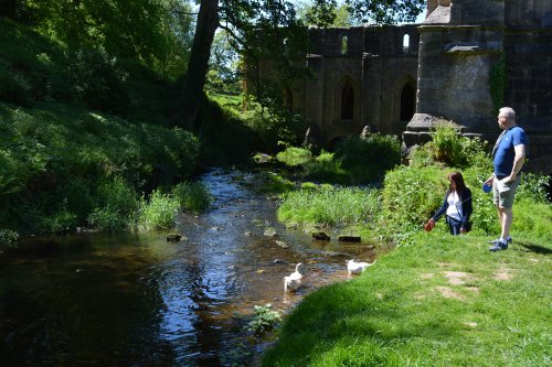 Fountains Abbey