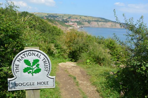 National Trust Ravenscar Boggle Hole Robin Hood's Bay circular walk, North Yorkshire