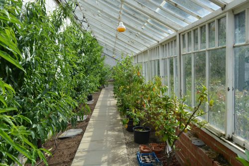 Mulgrave Estate Gardens, North Yorkshire