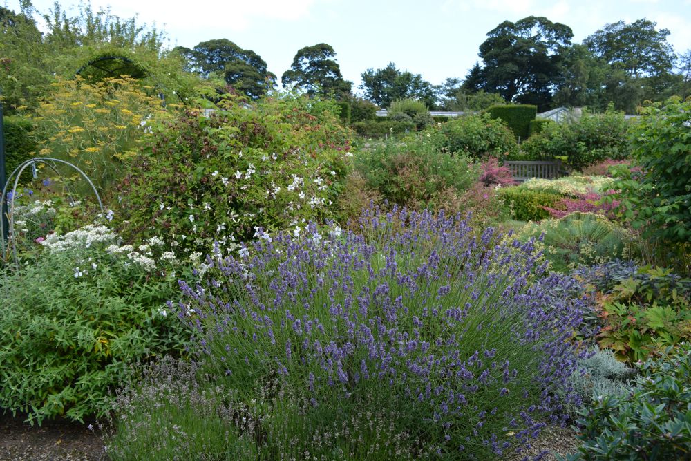 Mulgrave Estate Gardens, North Yorkshire