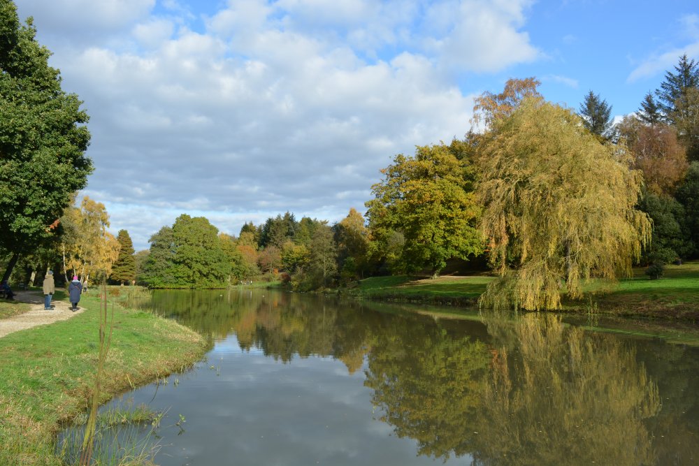 the Lake Autumn colours Yorkshire Arboretum