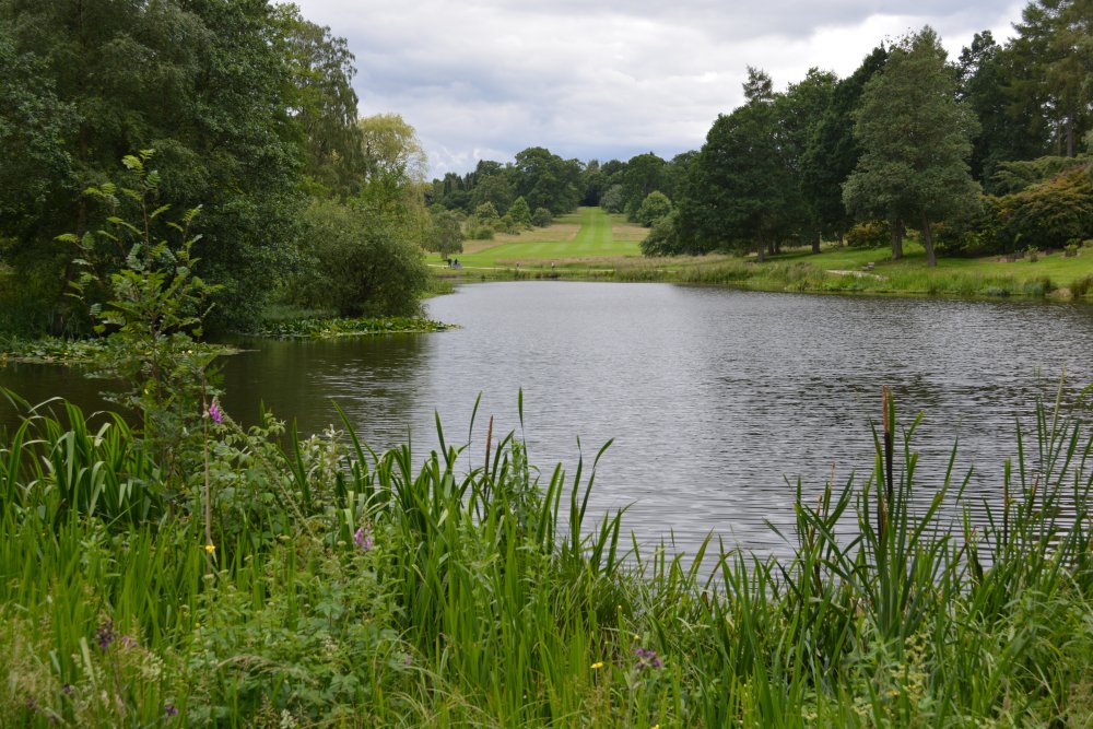 Yorkshire Arboretum, Castle Howard.  North Yorkshire, England