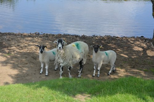 Circular walk from Hawes to Hardraw Force