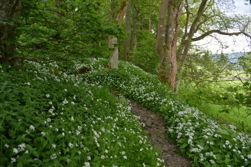 Circular walk from Hawes to Hardraw Force