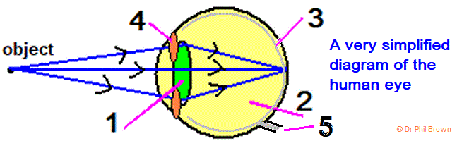 eyelens3.gif