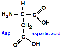  amino acid chemistry  molecular structure structural formula advanced level organic chemistry