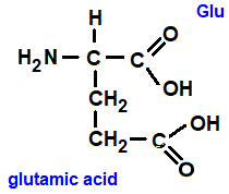 HOOCCH2CH2CH(NH2)COOH, glutamic acid (glu), has an extra carboxylic acid group amino acid chemistry  molecular structure structural formula advanced level organic chemistry