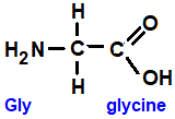  amino acid chemistry  molecular structure structural formula advanced level organic chemistry