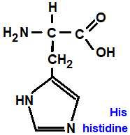 histidine (his), has an extra secondary amine group amino acid chemistry  molecular structure structural formula advanced level organic chemistry