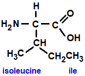 isoleucine (ile), 2-amino-3-methylpentanoic acid amino acid chemistry  molecular structure structural formula advanced level organic chemistry