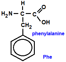 phenylalanine (phe), 2-amino-3-phenylpropanoic acid, has a benzene ring amino acid chemistry  molecular structure structural formula advanced level organic chemistry
