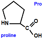 proline (pro), a secondary amine group amino acid chemistry  molecular structure structural formula advanced level organic chemistry