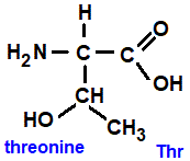 threonine (thr), 2-amino-3-hydroxypropanoic acid, has an extra secondary alcohol group amino acid chemistry  molecular structure structural formula advanced level organic chemistry