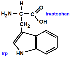  amino acid chemistry  molecular structure structural formula advanced level organic chemistry
