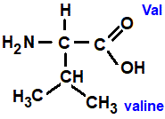  amino acid chemistry  molecular structure structural formula advanced level organic chemistry